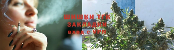 шишки Алзамай