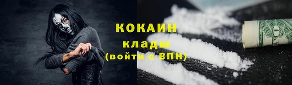 шишки Алзамай