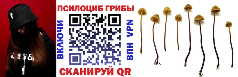 Галлюциногенные грибы мицелий Мезень